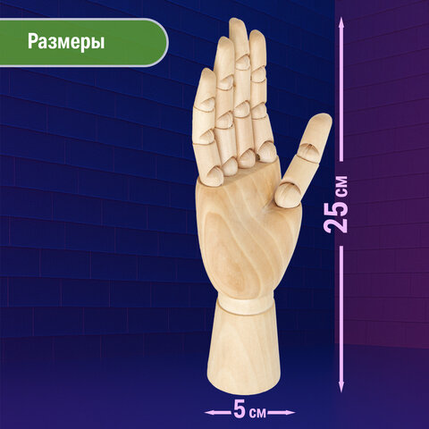 Манекен художественный BRAUBERG ART CLASSIC "РУКА", высота 25 см., женская правая, дерево, 191299 - фото 9