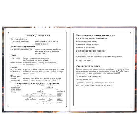 Дневник 1-4 класс 48 л., твердый, ЮНЛАНДИЯ, глянцевая ламинация, с подсказом, "Авто", 107584 - фото 16