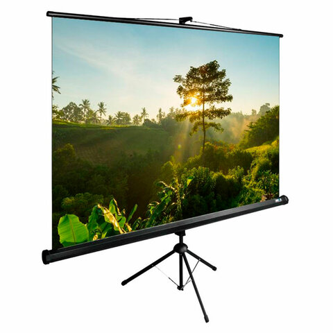 Экран Cactus TriExpert CS-PSTE-200x200-BK, 200x200 см, 1:1, напольный, черный - фото 1
