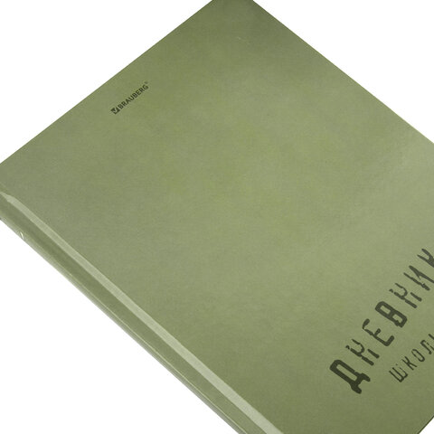 Дневник 1-11 класс 40 л., твердый, BRAUBERG, глянцевая ламинация, "Однотонный", 107607 - фото 3