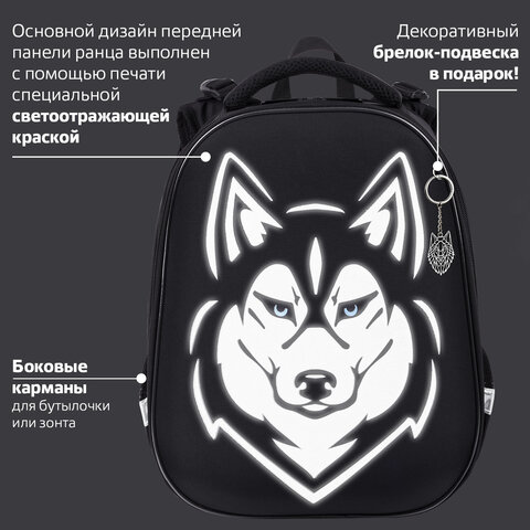 Ранец BRAUBERG SHINY, 2 отделения, с брелоком, "Husky", СВЕТЯЩИЙСЯ РИСУНОК, 38х28х14 см, 271383 - фото 11