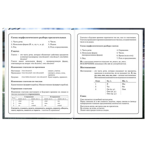 Дневник 1-4 класс 48 л., твердый, ЮНЛАНДИЯ, глянцевая ламинация, с подсказом, "Футбол", 107583 - фото 13