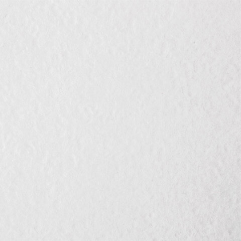 Бумага для акварели А4 в коробке, 40 листов, 200 г/м2, среднее зерно, BRAUBERG ART CLASSIC, 116355 - фото 4