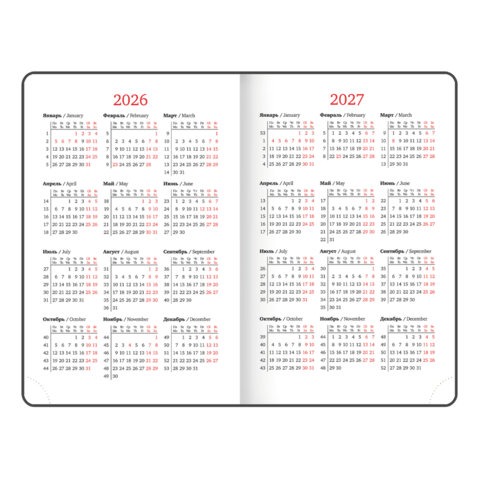 Ежедневник датированный 2026, МАЛЫЙ ФОРМАТ 100х150 мм, А6, BRAUBERG "Rainbow", под кожу, красный, 117256 - фото 6