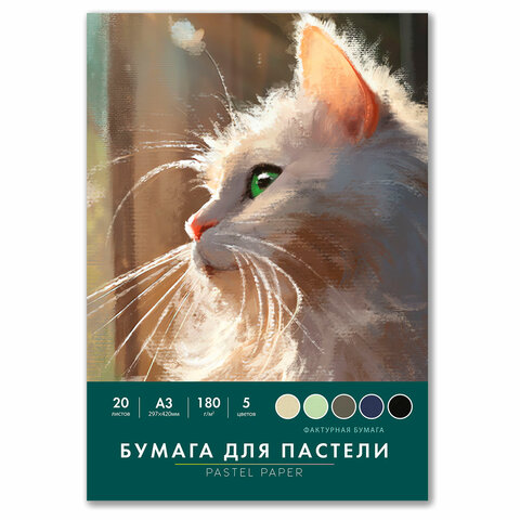 Бумага для пастели БОЛЬШАЯ А3 в папке, 20 листов, 5 цветов, 180 г/м2, BRAUBERG ART CLASSIC, 116346 - фото 1