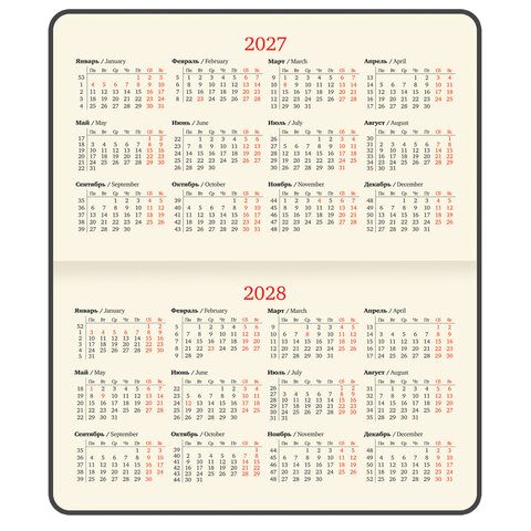Еженедельник датированный 2027, МАЛЫЙ ФОРМАТ, 105х160 мм, А6, BRAUBERG "Unique", розовый, 118215 - фото 6