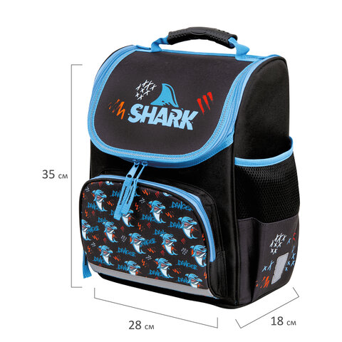 Ранец ПИФАГОР BASIC, 1 отделение, 3 кармана, эргономичная спинка, "Angry shark", 35х28х18 см, 272044 - фото 9