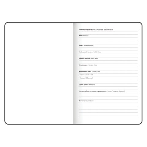 Ежедневник датированный 2026 с резинкой 145х203 мм, А5, BRAUBERG твердый, фольга, "Лаванда", 117344 - фото 5