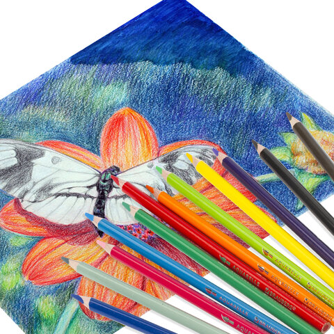Карандаши цветные акварельные BRAUBERG PREMIUM AQUARELLE, 12 цветов, трехгранные, утолщенный грифель 4 мм, натуральное дерево, 181671 - фото 7