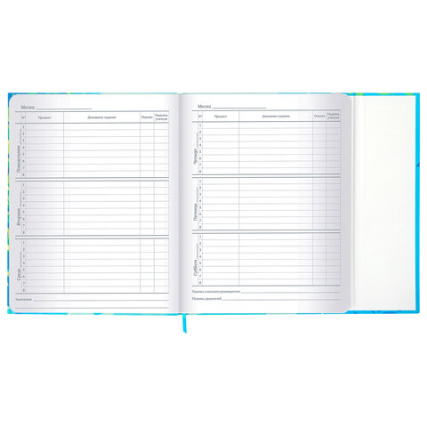 Дневник 1-11 класс 48 л., твердый, BRAUBERG, матовая ламинация, магнитный клапан, закладка-ляссе, с подсказом, "Котик", 107244 - фото 13