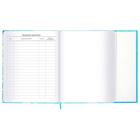 Дневник 1-11 класс 48 л., твердый, BRAUBERG, матовая ламинация, магнитный клапан, закладка-ляссе, с подсказом, "Котик", 107244 - фото 20