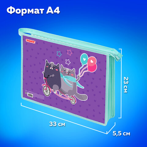 Папка для тетрадей ПИФАГОР А4, 1 отделение, картон/пластик, на молнии, "Bike cats", 272125 - фото 9