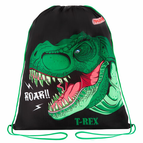 Мешок для обуви ПИФАГОР, 1 отделение, 42х34 см, "Dino roar", 272387 - фото 1