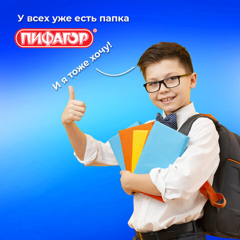 Папка для тетрадей ПИФАГОР А4, 1 отделение, картон/пластик, на молнии, "Sharp sword", 273342 - фото 10