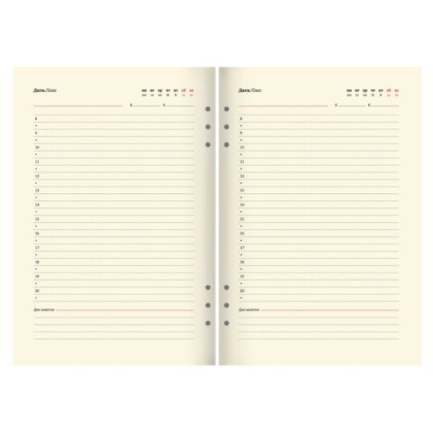 Ежедневник на кольцах в наборе с ручкой А5, 165x229 мм, BRAUBERG "Lux", под кожу, 100 листов, зеленый, 116858 - фото 9