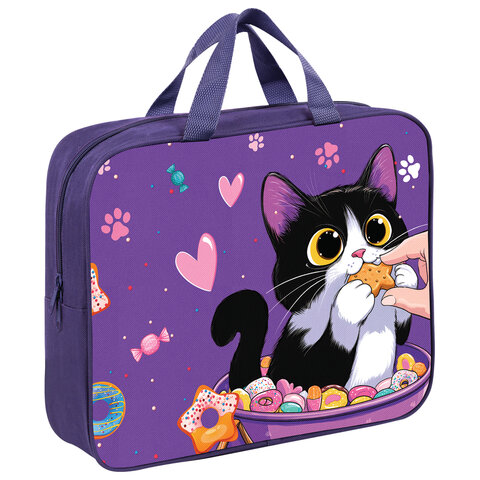 Папка на молнии с ручками BRAUBERG KIDS А4, 1 отделение, полиэстер, 80 мм, "Sweet cheeks", 272120 - фото 1