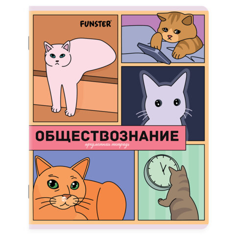 Тетради предметные, КОМПЛЕКТ 12 ПРЕДМЕТОВ, 48 л., TWIN-лак, FUNSTER (ФАНСТЕР), МЕМНЫЕ КОТЫ, 405604 - фото 9