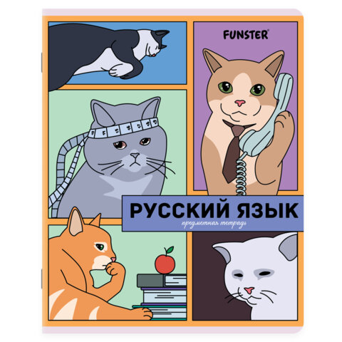 Тетради предметные, КОМПЛЕКТ 12 ПРЕДМЕТОВ, 48 л., TWIN-лак, FUNSTER (ФАНСТЕР), МЕМНЫЕ КОТЫ, 405604 - фото 10