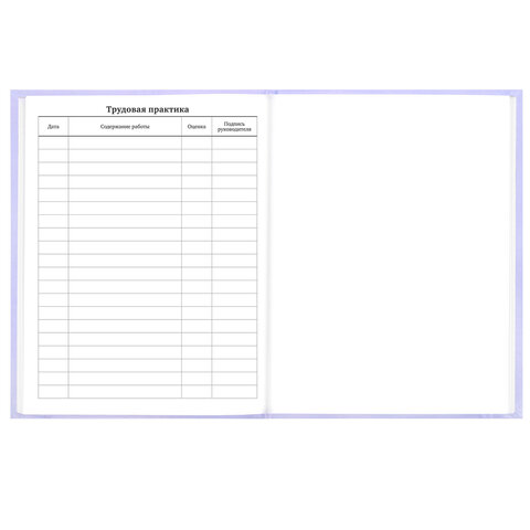 Дневник 5-11 класс 48 л., твердый, BRAUBERG, матовая ламинация, с подсказом, "Классика", 107610 - фото 16