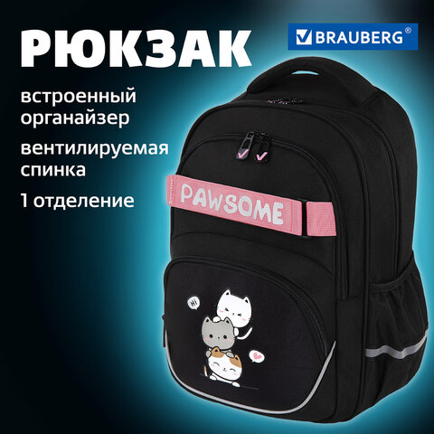Рюкзак BRAUBERG MOTION, 2 отделения, 3 кармана, "Cat tower", 41х28х17 см, 272033 - фото 17
