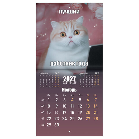 Календарь настенный перекидной 2027 г., BRAUBERG, 12 листов, 21,4х42,8 см, МИНИ, "Vibe meme", 118438 - фото 14