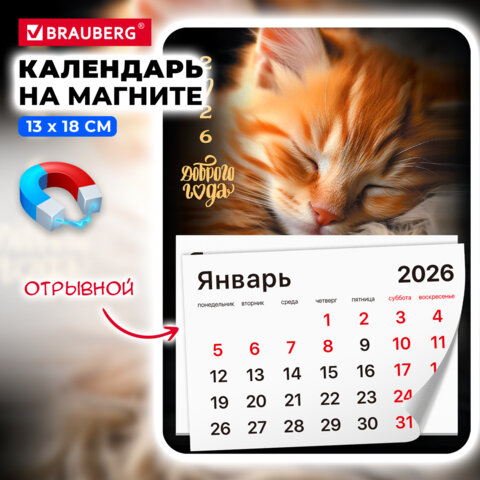 Календарь отрывной на магните на 2026 г., BRAUBERG, 130х180 мм, склейка, "Котик", 117289 - фото 3