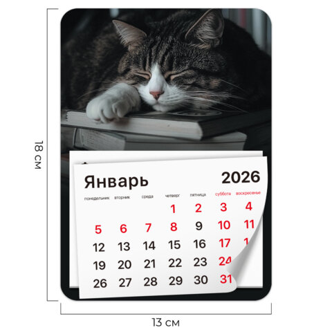 Календарь отрывной на магните на 2026 г., BRAUBERG, 130х180 мм, склейка, "Спящий кот", 117292 - фото 2