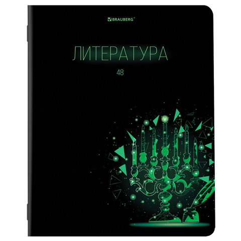 Тетради предметные, КОМПЛЕКТ 12 ПРЕДМЕТОВ, 48 листов, глянцевый УФ-лак, BRAUBERG, "DARK", 404028 - фото 4