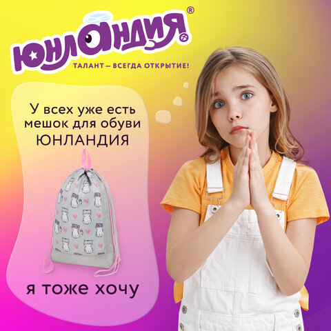 Мешок для обуви ЮНЛАНДИЯ с ручками, боковой карман на молнии, 46х36 см, "Kitties", 272407 - фото 12