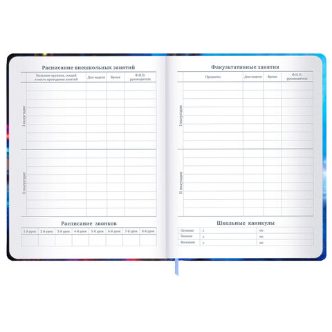 Дневник 1-11 класс 48 л., твердый, BRAUBERG, матовая ламинация, резинка, закладка-ляссе, с подсказом, "Футбол", 107235 - фото 11