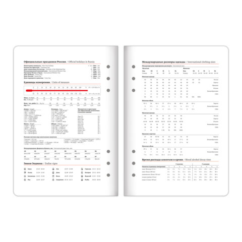 Ежедневник-органайзер недатированный B5 167х240 мм, BRAUBERG "Nova", под кожу, 160 л., голубой, 116201 - фото 10