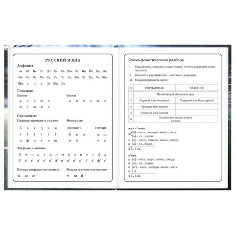 Дневник 1-4 класс 48 л., твердый, ЮНЛАНДИЯ, глянцевая ламинация, с подсказом, "Футбол", 107583 - фото 10