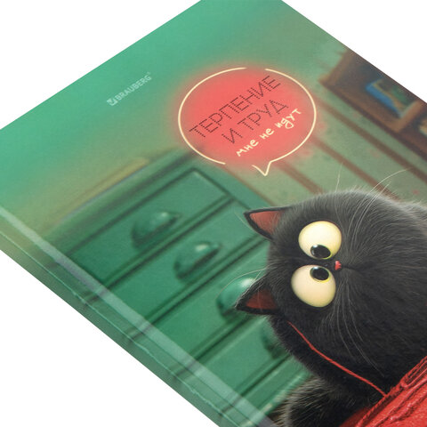 Дневник 1-11 класс 40 л., твердый, BRAUBERG, глянцевая ламинация, "Пушистый хулиган", 107599 - фото 3