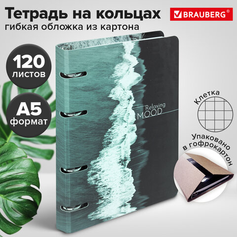 Тетрадь на кольцах А5 160х212 мм, 120 листов, картон, матовая ламинация, клетка, BRAUBERG, "Relax", 404725 - фото 10