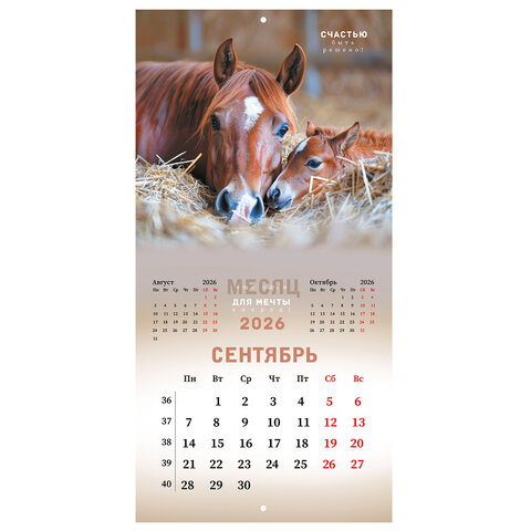 Календарь настенный перекидной 2026 г., BRAUBERG, 12 листов, 28,5х28,5 см, "Благородные лошади", 116932 - фото 12