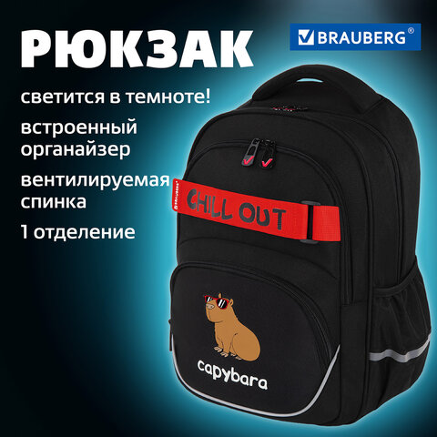 Рюкзак BRAUBERG MOTION, 2 отделения, 3 кармана, "Calm capy", СВЕТЯЩИЙСЯ, 41х28х17 см, 272032 - фото 18
