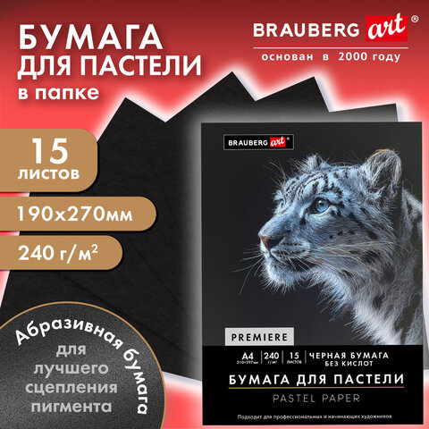 Бумага для пастели АБРАЗИВНАЯ А4 в папке, 15 листов, ЧЕРНАЯ, 240 г/м2, BRAUBERG ART, 117765 - фото 3