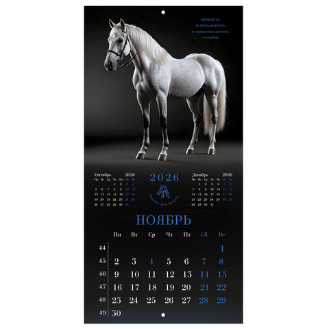 Календарь настенный перекидной 2026 г., BRAUBERG, 12 листов, 28,5х28,5 см, "Символ года", 116928 - фото 14