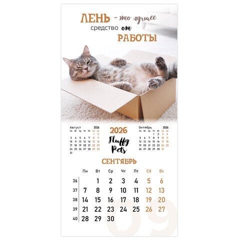 Календарь настенный перекидной 2026 г., BRAUBERG, 12 листов, 28,5х28,5 см, "Милые котики", 116929 - фото 12