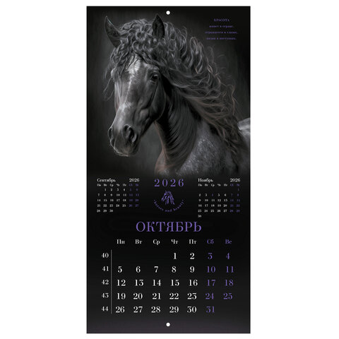 Календарь настенный перекидной 2026 г., BRAUBERG, 12 листов, 28,5х28,5 см, "Символ года", 116928 - фото 13