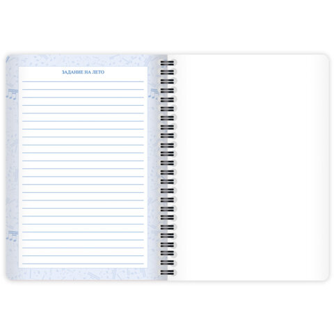 Дневник для музыкальной школы 48 листов, гребень, пластиковая обложка, картон, BRAUBERG, "МИКС", 107519 - фото 17