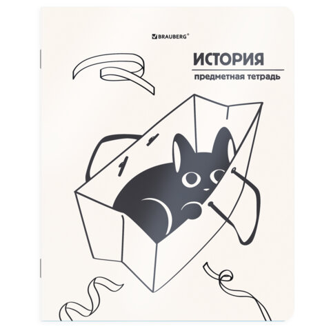 Тетради предметные, КОМПЛЕКТ 12 ПРЕДМЕТОВ 48 л., пластиковая обложка, BRAUBERG "КОТ-НЕПОСЕДА", 405542 - фото 9