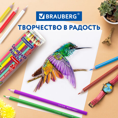 Карандаши цветные BRAUBERG PREMIUM 36 цветов в тубе, трехгранные, грифель 3,3 мм, натуральное дерево, 181934 - фото 12