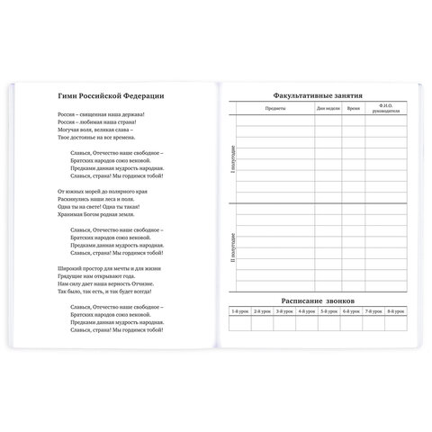 Дневник 1-11 класс 40 л., на скобе, ПИФАГОР, обложка картон, МИКС "Универсальный", 107578 - фото 8