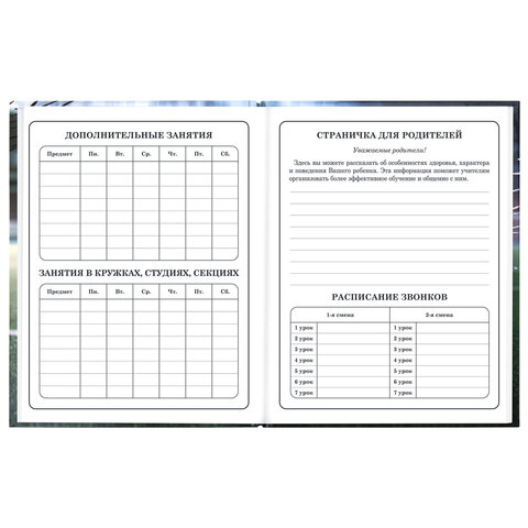 Дневник 1-4 класс 48 л., твердый, ЮНЛАНДИЯ, глянцевая ламинация, с подсказом, "Футбол", 107583 - фото 7