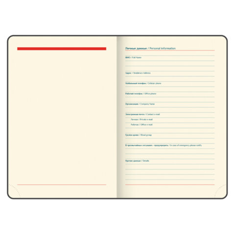 Ежедневник датированный 2026 А5 148х218 мм, GALANT "Infinity Gold", под кожу, темно-зеленый, 117504 - фото 6