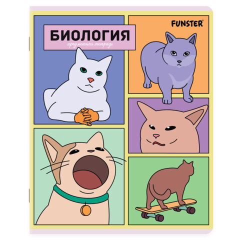 Тетради предметные, КОМПЛЕКТ 12 ПРЕДМЕТОВ, 48 л., TWIN-лак, FUNSTER (ФАНСТЕР), МЕМНЫЕ КОТЫ, 405604 - фото 3