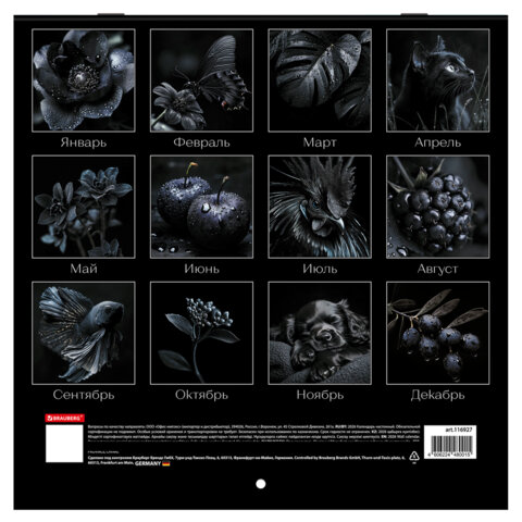 Календарь настенный перекидной 2026 г., BRAUBERG, 12 листов, 28,5х28,5 см, "Black esthetic", 116927 - фото 17