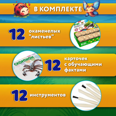 Набор для раскопок "Насекомые", 12 видов, карточки, инструменты, BRAUBERG KIDS, 665127 - фото 13