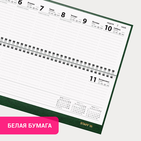Планинг датированный 2026 300х130 мм, STAFF, гребень, обложка бумвинил, 64 л., зеленый, 117361 - фото 3